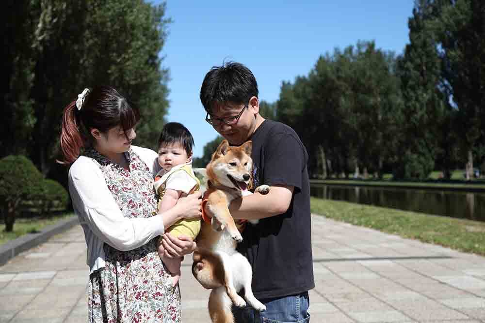 抱っこやおんぶなど自然なポーズと遊びを取り入れつつ、お子様に遊びを楽しんでいただく中で笑顔の写真を撮影しています