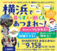 【9/15・ 横浜】SHARE! FES 横浜で暮らす人・働く人あつまれ～