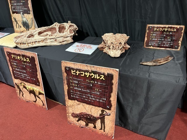 恐竜の化石が間近で見れます