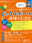 【箱根】ピックルボール体験＆交流会 ～人気急上昇！ハマる人、続出！～