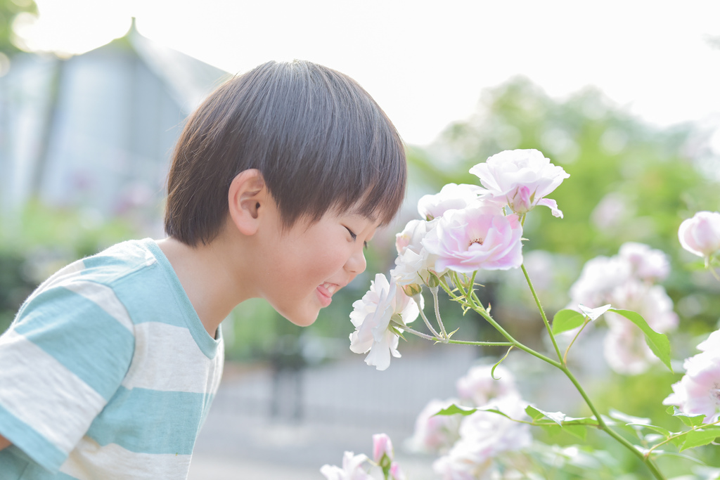 今回はきっかけフォトレッスンです。簡単なことから始めましょう。レンタルスタジオを貸し切っての開催です。